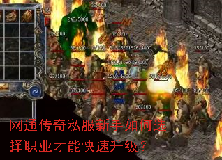 ��ͨ����˽���������ѡ��ְҵ���ܿ���������