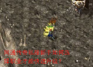 ��ͨ����˽���������ѡ��ְҵ���ܿ���������