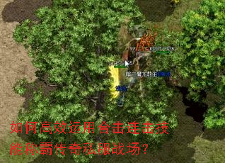 ��θ�Ч���úϻ��������ܳưԴ���˽��ս����