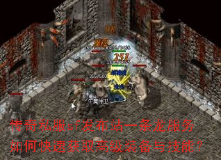 ����˽��sf����վһ����������ο��ٻ�ȡ�߼�װ���뼼�ܣ�