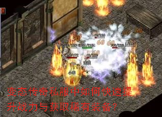 ��̬����˽������ο�������ս�����ȡϡ��װ����