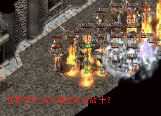 �����ʿ�����Ч�Կ�սʿ��