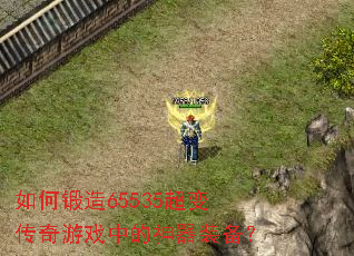 ��ζ���65535���䴫����Ϸ�е�����װ����