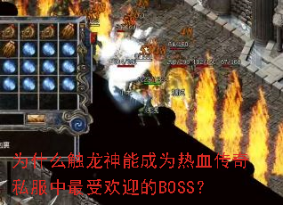 Ϊʲô�������ܳ�Ϊ��Ѫ����˽�������ܻ�ӭ��BOSS��