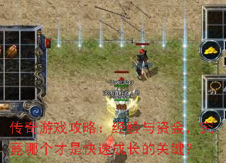 ������Ϸ���ԣ��������ʽ𣬾����ĸ����ǿ��ٳɳ��Ĺؼ���