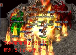 ���ﱦ�����ֻ�Ƿ�ʦ�͵�ʿ��ר����