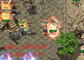 ����ô��滤����ܷ������������