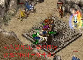 �������ɽ����ο�����Ӧ��ͼ����Ч������