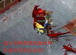 ��ʿ��ε�����Ѫ����˽���е�˫ͷ��գ�