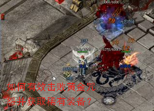 �����Ч���ܻƽ���Թ����ȡϡ��װ����