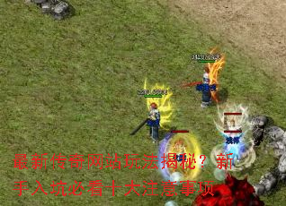 ���´�����վ�淨���أ�������ӱؿ�ʮ��ע������