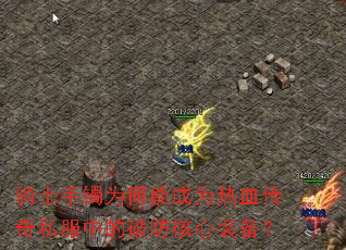 ��ʿ����Ϊ���ܳ�Ϊ��Ѫ����˽���е��Ʒ�����װ����