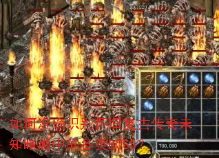 ���׼ȷʶ�𻳾ɸ��Ŵ���δ֪�����еĸ���BOSS��