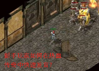 新手玩家如何在热血传奇中快速发育? 新手玩家如何在热血传奇中快速发育?