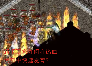 ��������������Ѫ�����п��ٷ�����