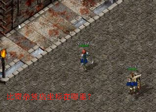 �����ӻ������������