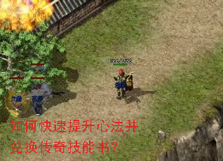 ��ο��������ķ����һ����漼���飿