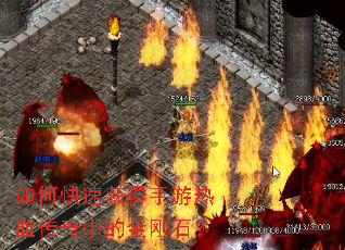 ��ο��ٻ��������Ѫ�����еĽ��ʯ��