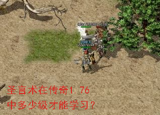 ʥ�����ڴ���1.76�ж��ټ�����ѧϰ��