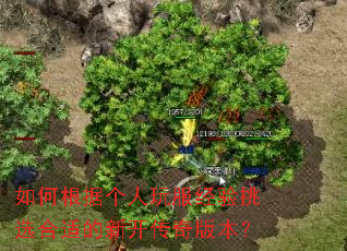 ��θ��ݸ������������ѡ���ʵ��¿�����汾��