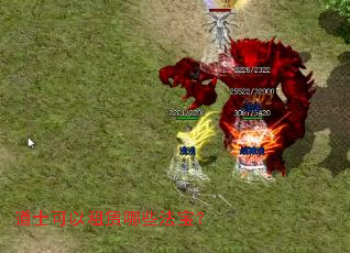 ��ʿ����������Щ������