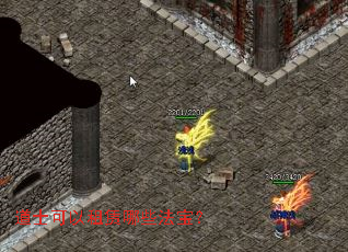 ��ʿ����������Щ������