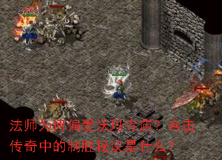 ��ʦΪ��ƫ�������������ϻ������е���ʤ�ؾ���ʲô��