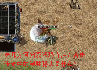 ��ʦΪ��ƫ�������������ϻ������е���ʤ�ؾ���ʲô��