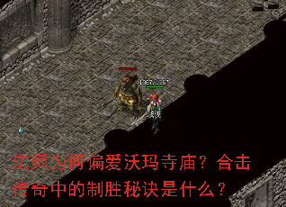 ��ʦΪ��ƫ�������������ϻ������е���ʤ�ؾ���ʲô��