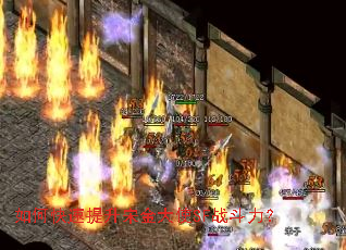 如何快速提升宋金大使SF战斗力? 如何快速提升宋金大使SF战斗力?