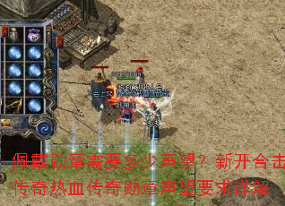 佩戴勋章需要多少声望?新开合击传奇热血传奇勋章声望要求详解 佩戴勋章需要多少声望?新开合击传奇热血传奇勋章声望要求详解