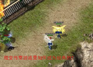 ΢�䴫����Ϸ����γ�Ϊ����ģ�