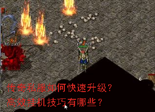 ����˽����ο�����������Ч�һ���������Щ��