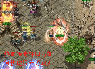 ��Ѫ���滳�ɰ���ο��������ȼ���