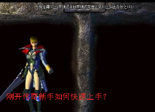 �տ�����������ο������֣�