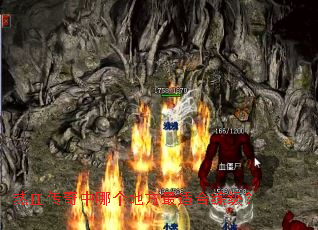 ��Ѫ�������ĸ��ط����ʺ�������