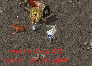 ����սʿ���PK����˫�߲��������ļ���ȫ����