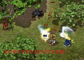 ����ƿش���˽���е�ʤ���ؼ���