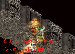 ���Ŵ����ְҵ���ƾ���ļ��ܳư��귨��½��