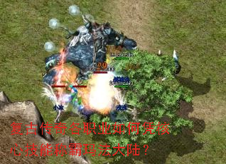 ���Ŵ����ְҵ���ƾ���ļ��ܳư��귨��½��