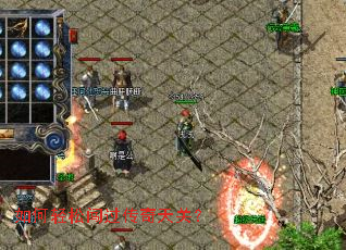 ������ɴ���������أ�