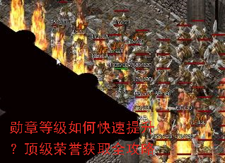 ѫ�µȼ���ο�������������������ȡȫ����