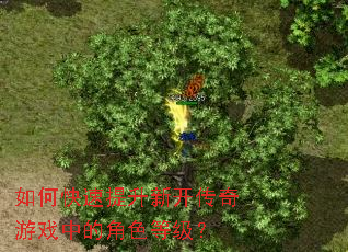 如何快速提升新开传奇游戏中的角色等级? 如何快速提升新开传奇游戏中的角色等级?