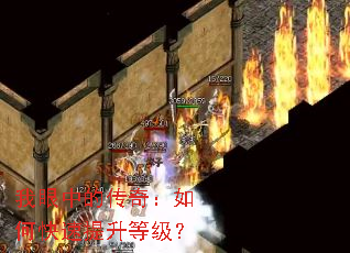 我眼中的传奇:如何快速提升等级? 我眼中的传奇:如何快速提升等级?