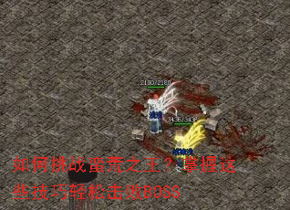 �����ս����֮����������Щ�������ɻ���BOSS