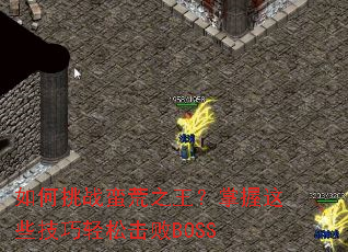 �����ս����֮����������Щ�������ɻ���BOSS