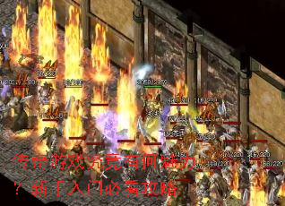 ������Ϸ�����к��������������űؿ�����