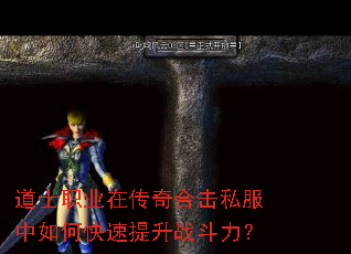 ��ʿְҵ�ڴ���ϻ�˽������ο�������ս������