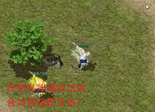 传奇私服道战法组合如何搭配装备? 传奇私服道战法组合如何搭配装备?