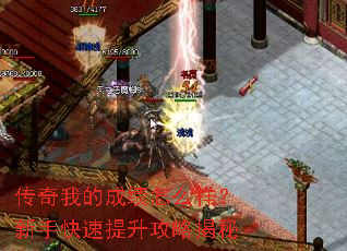 �����ҵĳɼ���ô�������ֿ����������Խ���